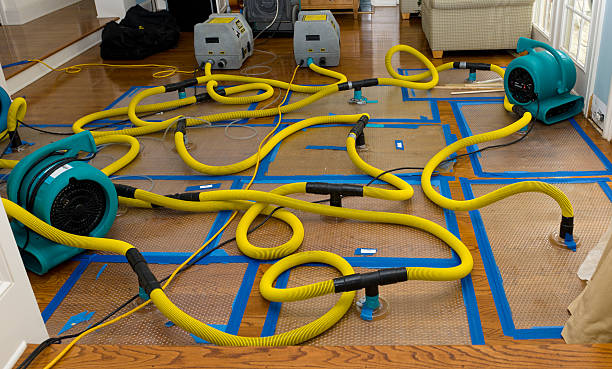 Professional Water Damage Restoration technician working in Elkton, MD